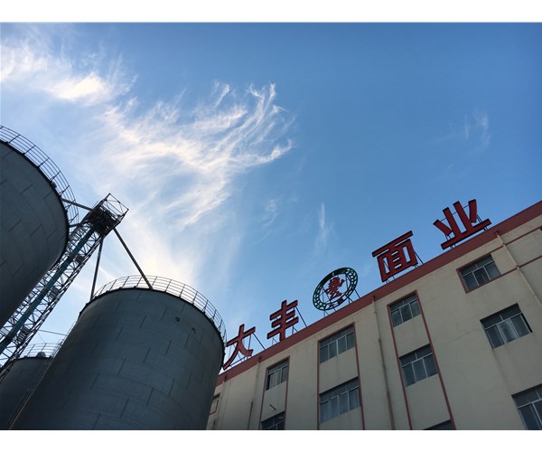 小麦粉是粗粮吗