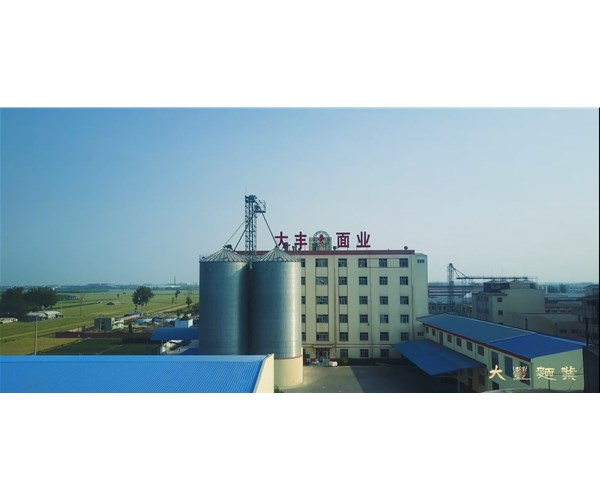 面粉的营养成分介绍